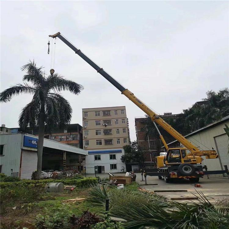 融水吊车吊大树几种方法